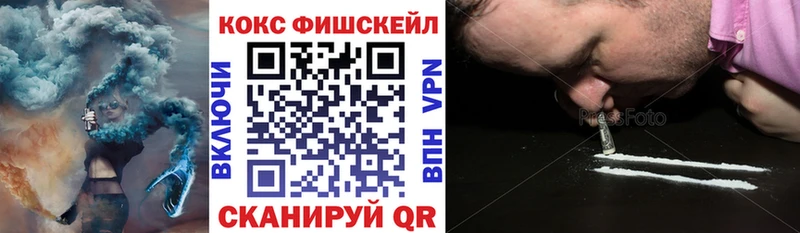 Cocaine Fish Scale  где купить наркотик  Новодвинск 