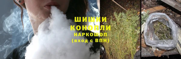 молекула духа Пестово
