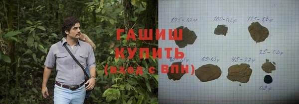 молекула духа Пестово