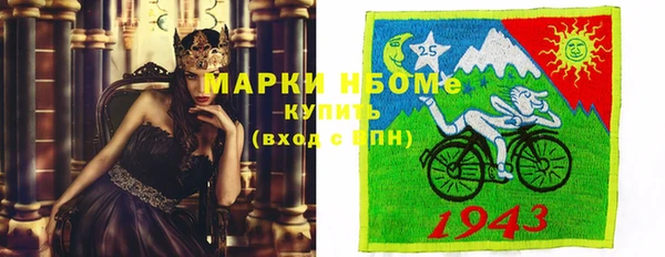 молекула духа Пестово
