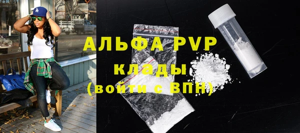 молекула духа Пестово