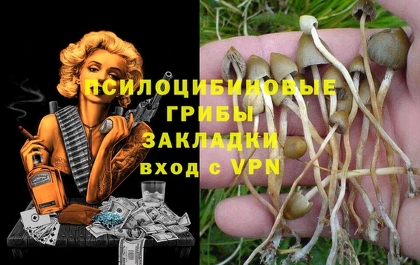 PSILOCYBIN Волоколамск