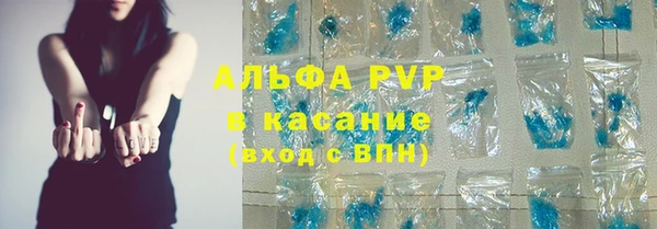 молекула духа Пестово
