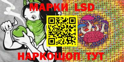 apvp Камышлов