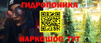 apvp Камышлов