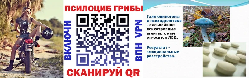 Псилоцибиновые грибы ЛСД Новодвинск