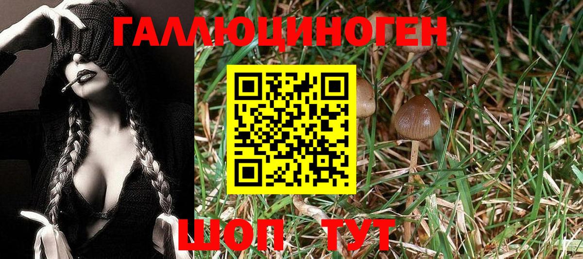 Новодвинск  Галлюциногенные грибы ЛСД  Вход с VPN 